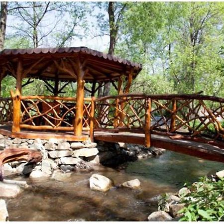 Arcani Pensiunea Pentru Tine Prietene المظهر الخارجي الصورة