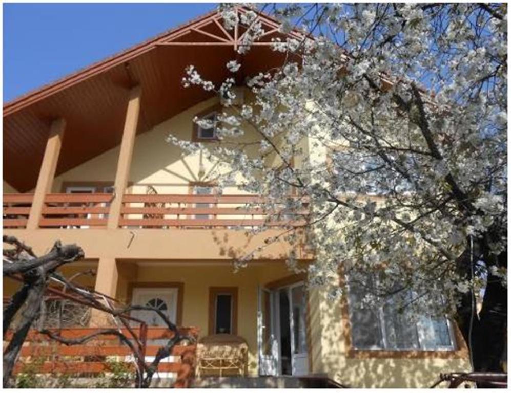 Arcani Pensiunea Pentru Tine Prietene الغرفة الصورة
