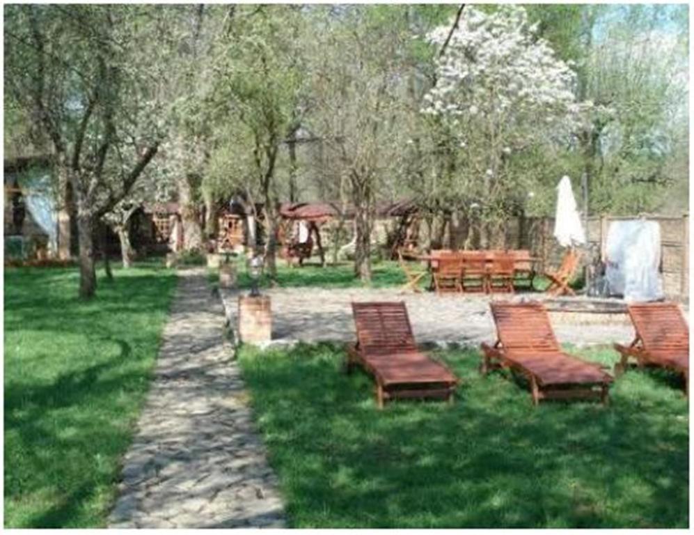 Arcani Pensiunea Pentru Tine Prietene الغرفة الصورة